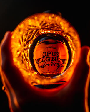 Product Photography - Opus Magnum Gin